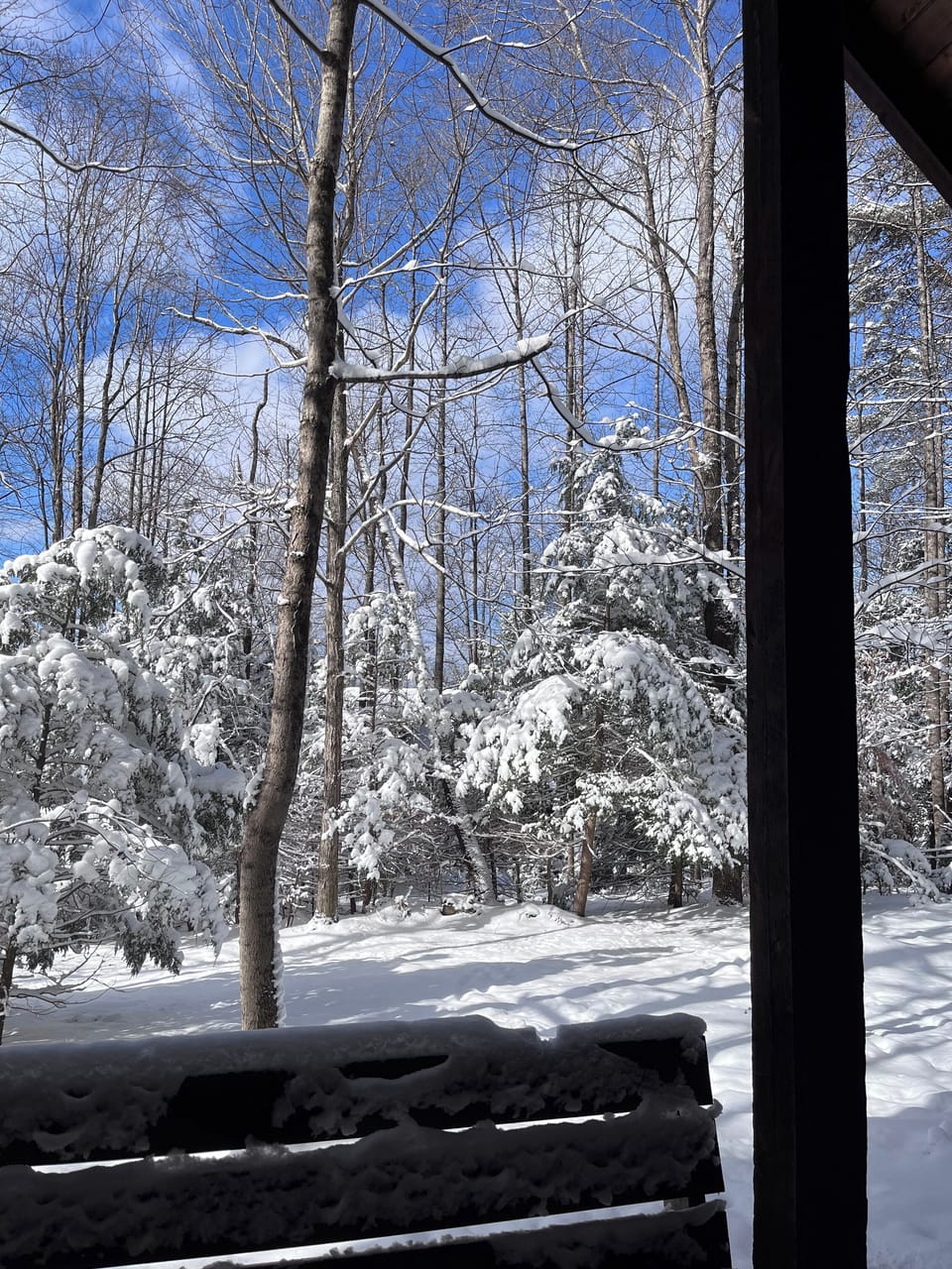 View from property