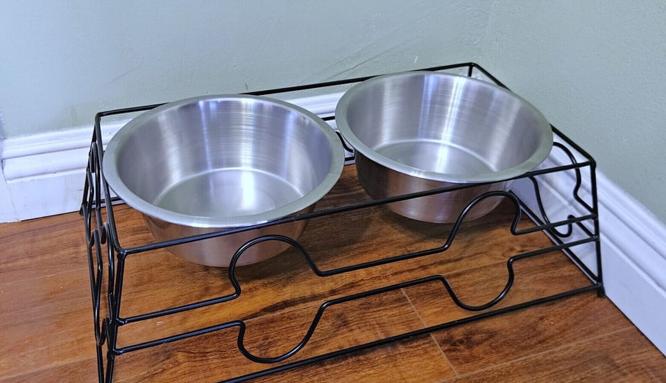 Pet Dishes