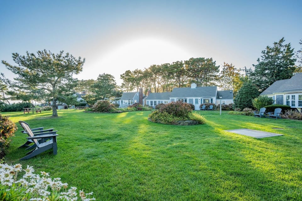 Views of the lawn