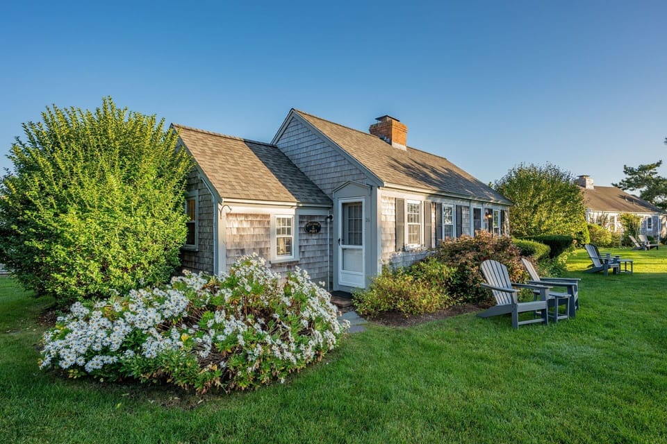 Views of the lawn