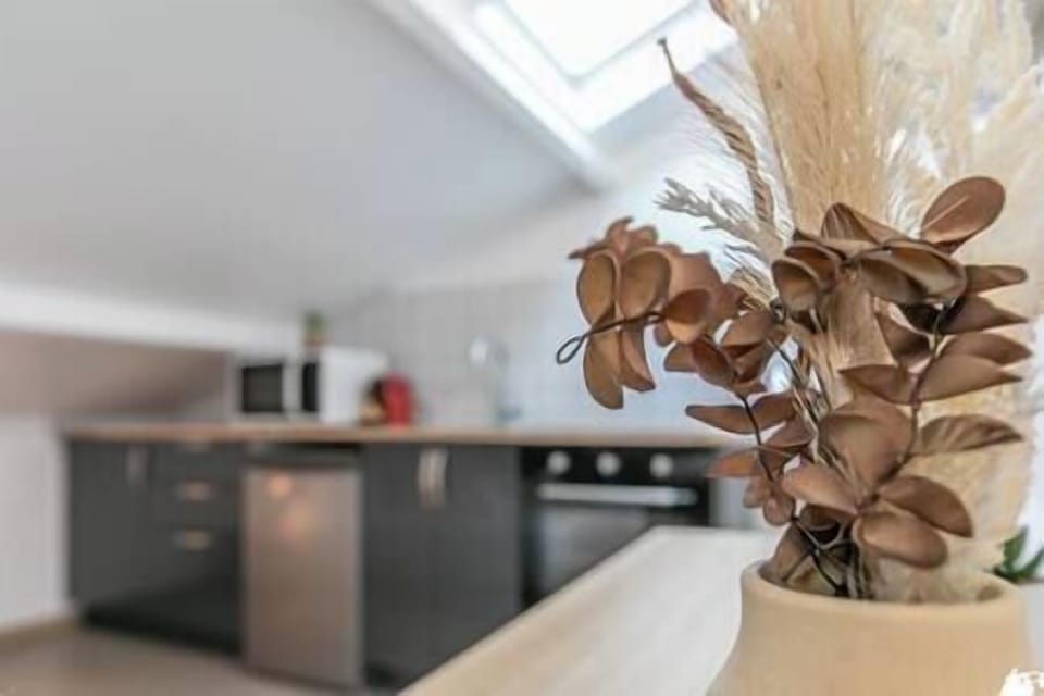 Cuisine équipée (2)