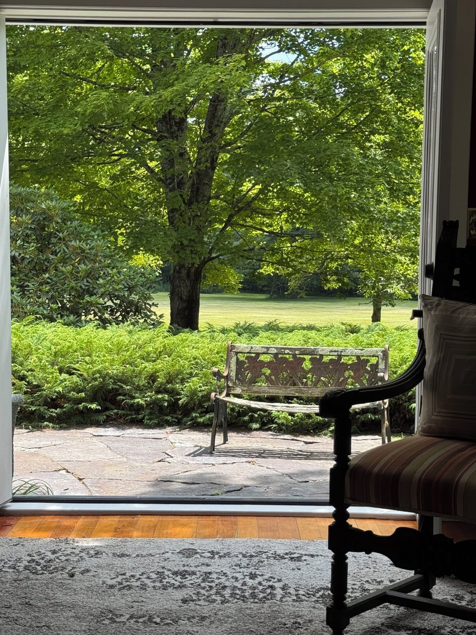 Private courtyard for the guest house, doors thrown open to the morning light