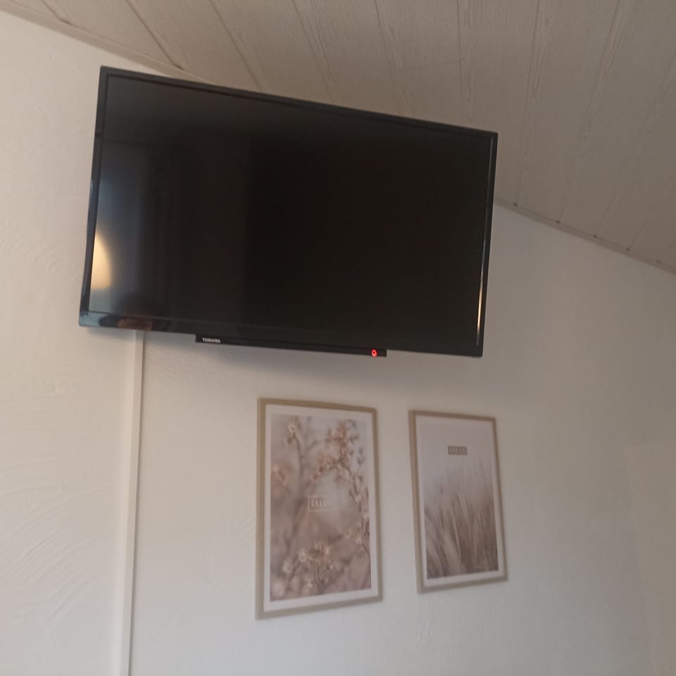 Television