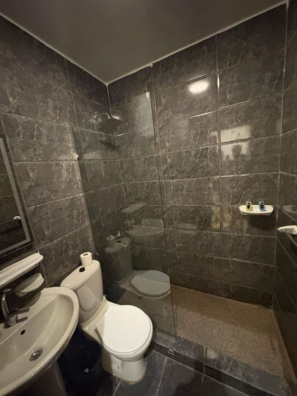 Basic Quadruple Room | Bathroom | Shower, free toiletries, hair dryer (on request), towels