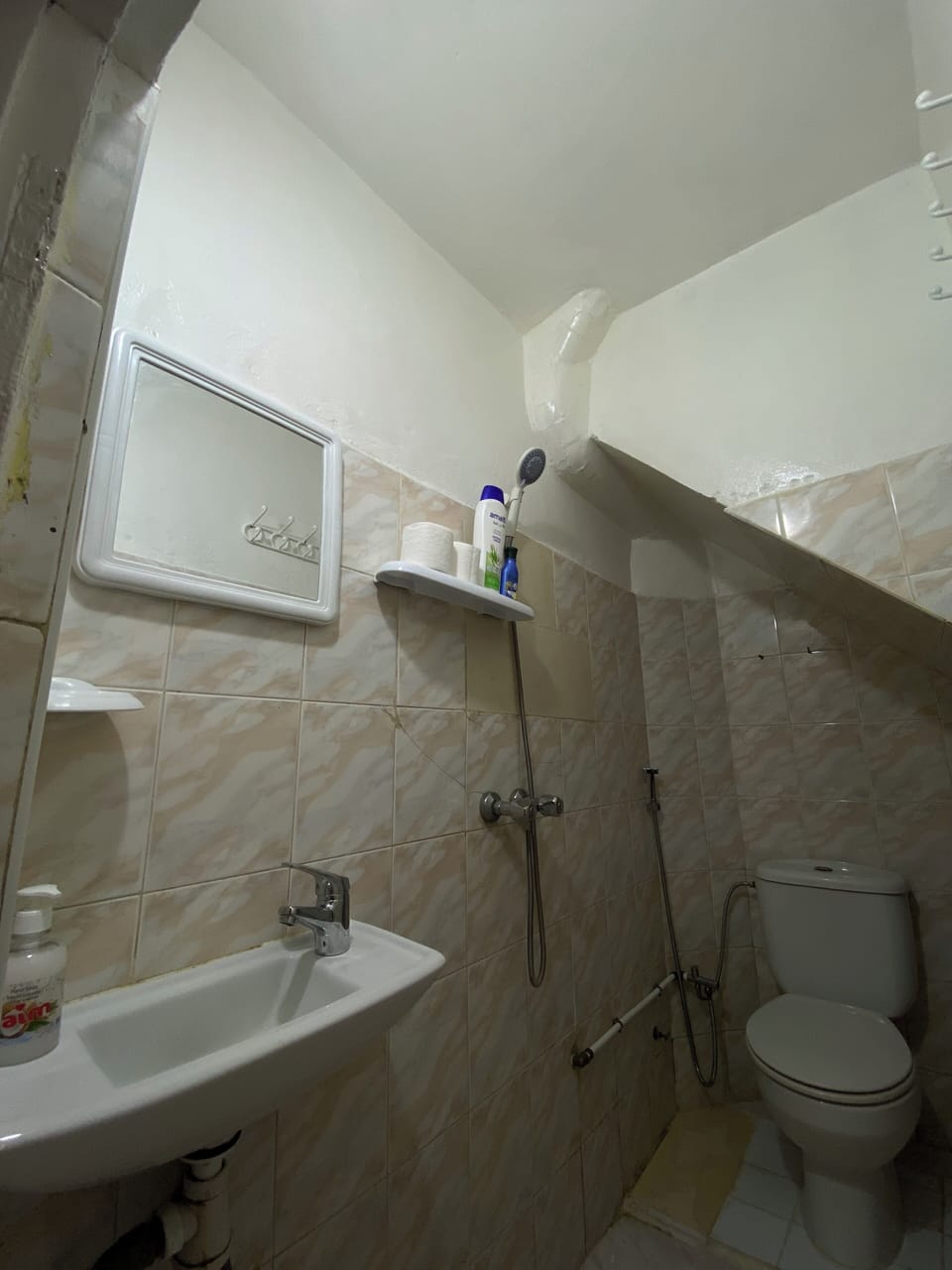 Comfort Triple Room, Partial Sea View | Bathroom | Shower, bidet, towels, shampoo