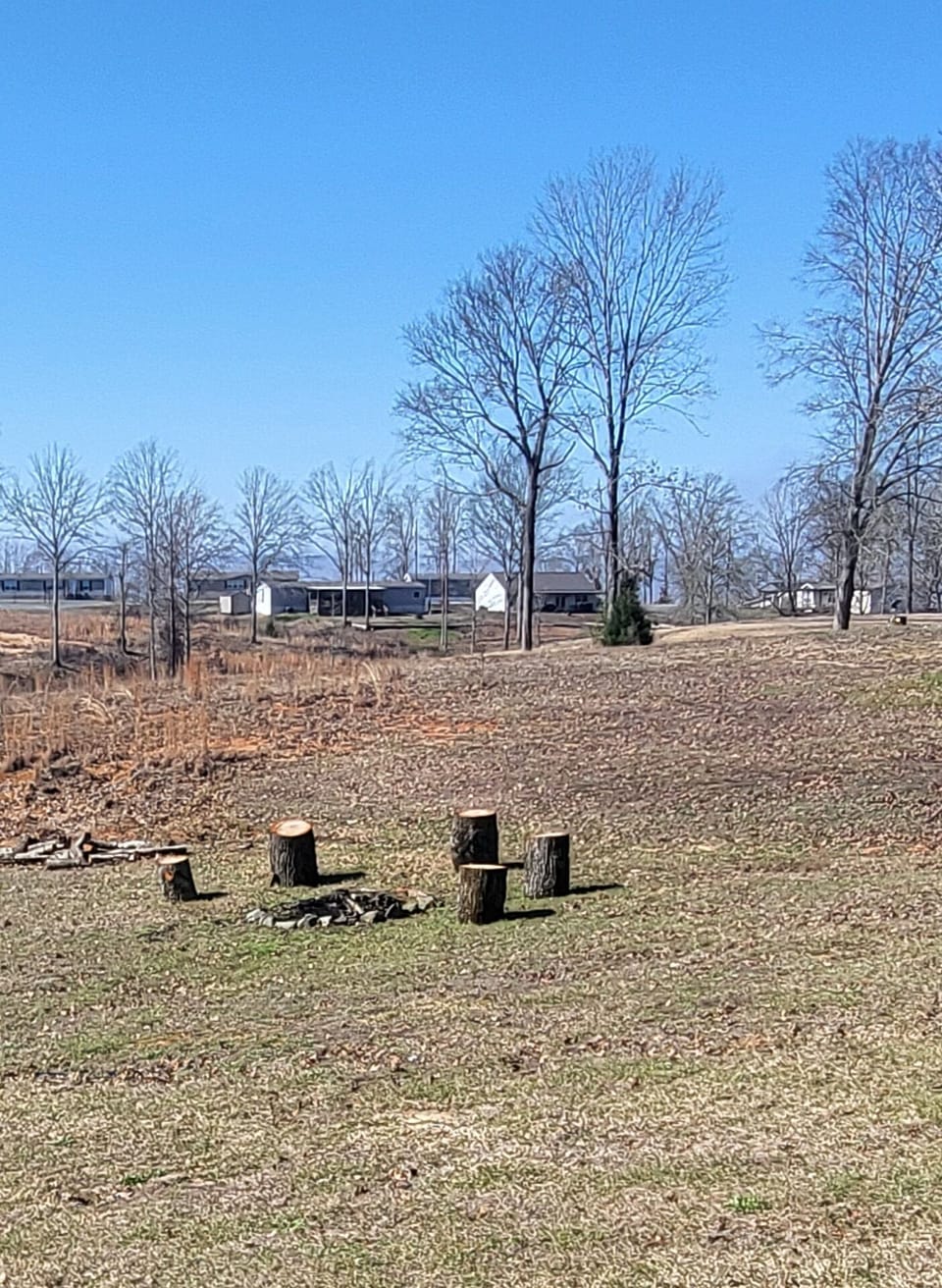 fire pit