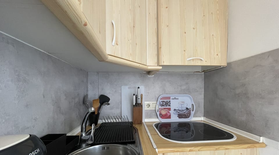 Kitchen detail with stainless steel sink, stovetop, and wooden cabinets. Compact and functional space
