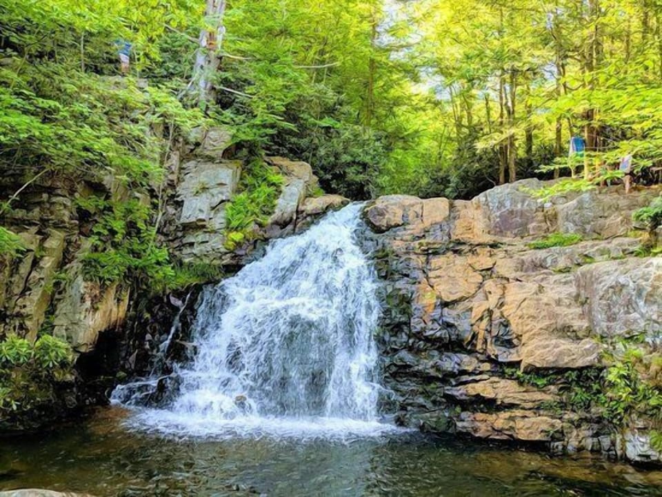 f213b981-ca36-481c-a81b-694ac825a295