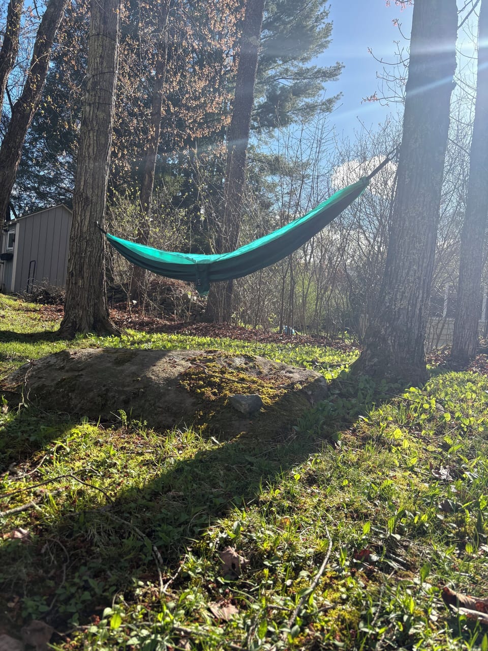 Backyard hammock
