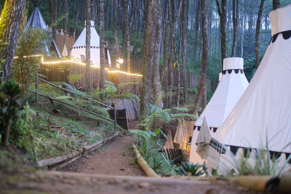 Luxury Tent | 1 bedroom