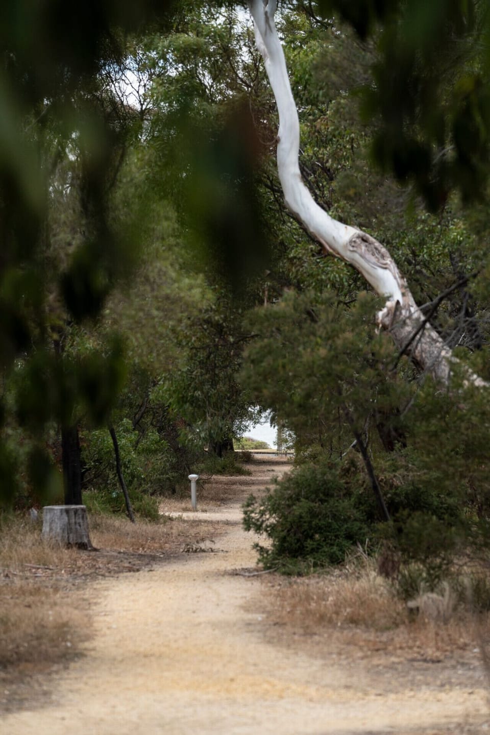 Walk thru Taylor Park to the Esplanade Beachfront Trail
