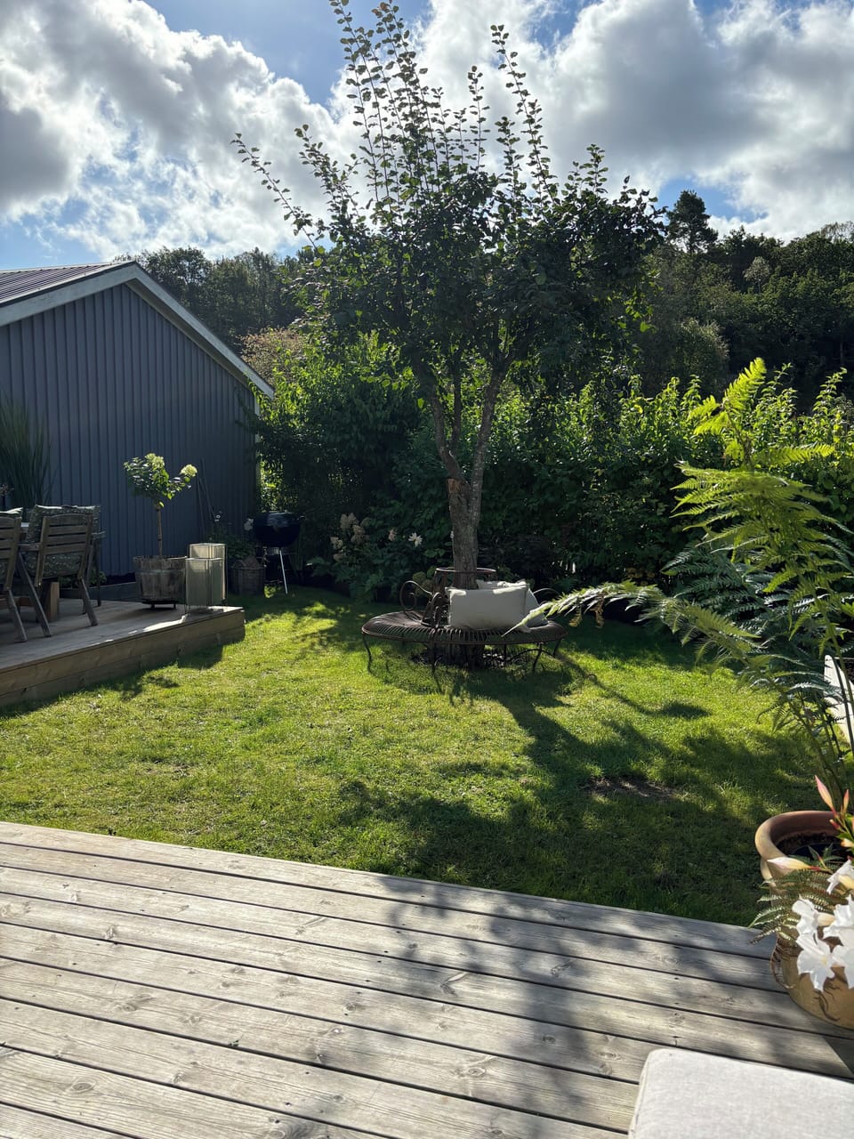 Terrace/patio