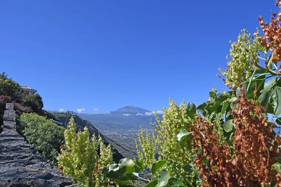 View from Holiday Home [summer]