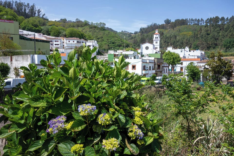 Villa, 2 Bedrooms, Balcony, Garden View | Property grounds