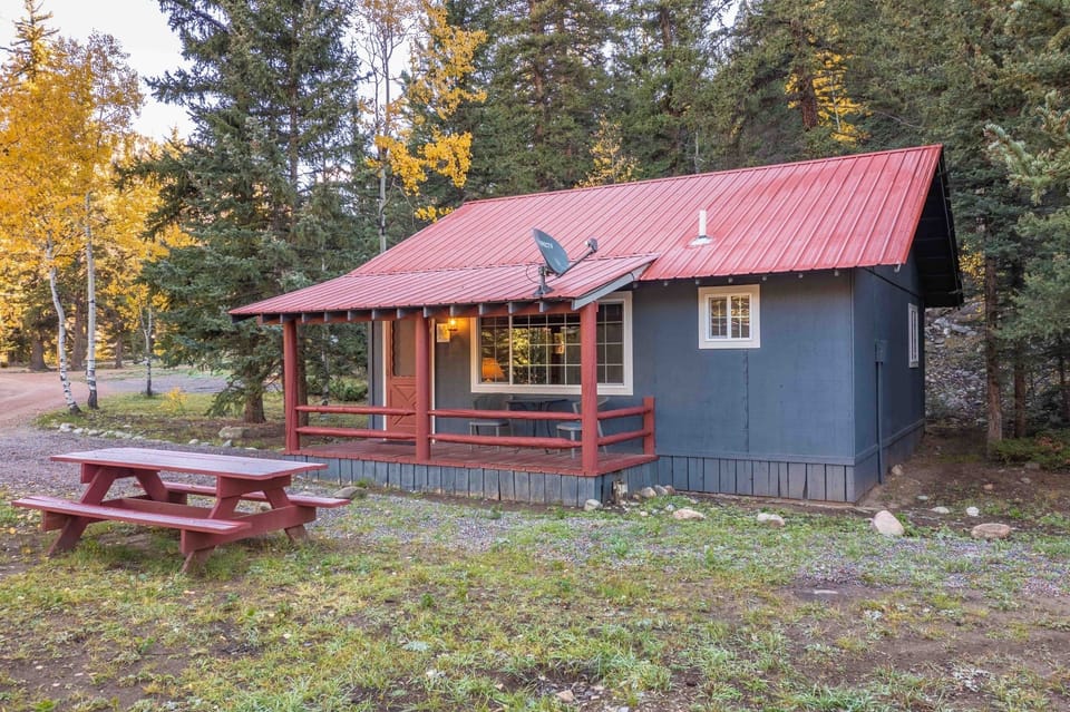 Arrive to a charming cabin hideaway surrounded by tall pines.