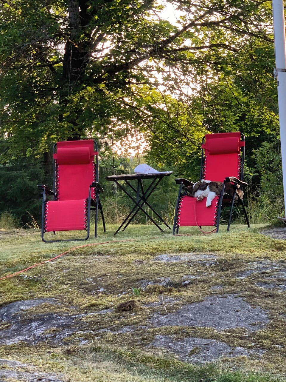 Pet-friendly