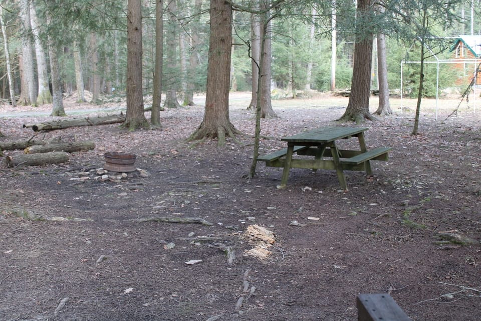 View of Firepit area