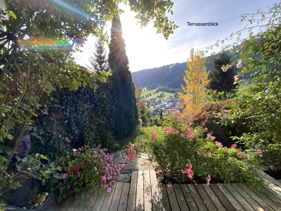House | Property grounds