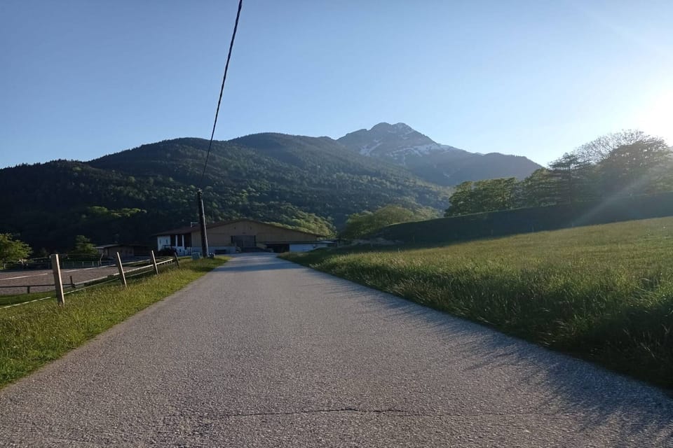 Region [summer] (>5 km)