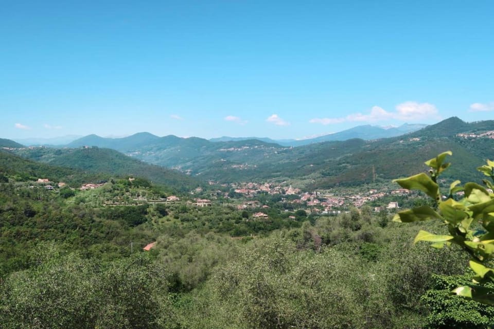 Surroundings [summer] (1-5 km)