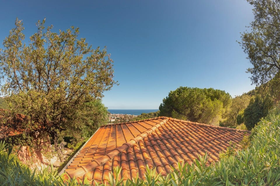View from Holiday Home [summer]
