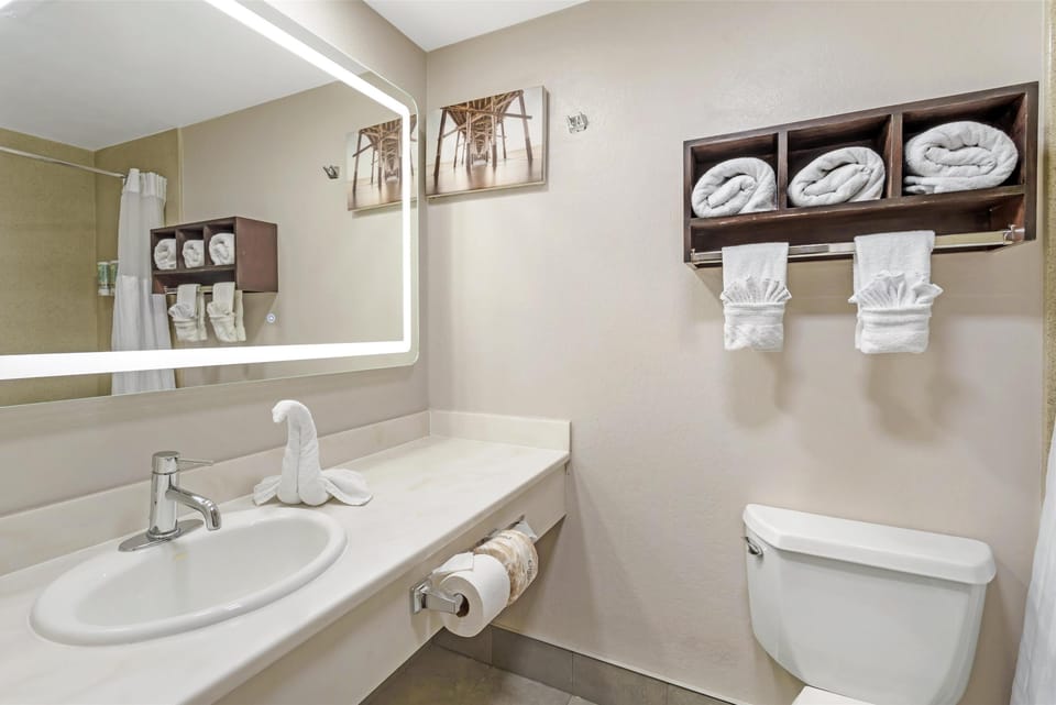 Standard Room, 1 King Bed, Non Smoking, Jetted Tub | Bathroom | Combined shower/tub, free toiletries, hair dryer, towels