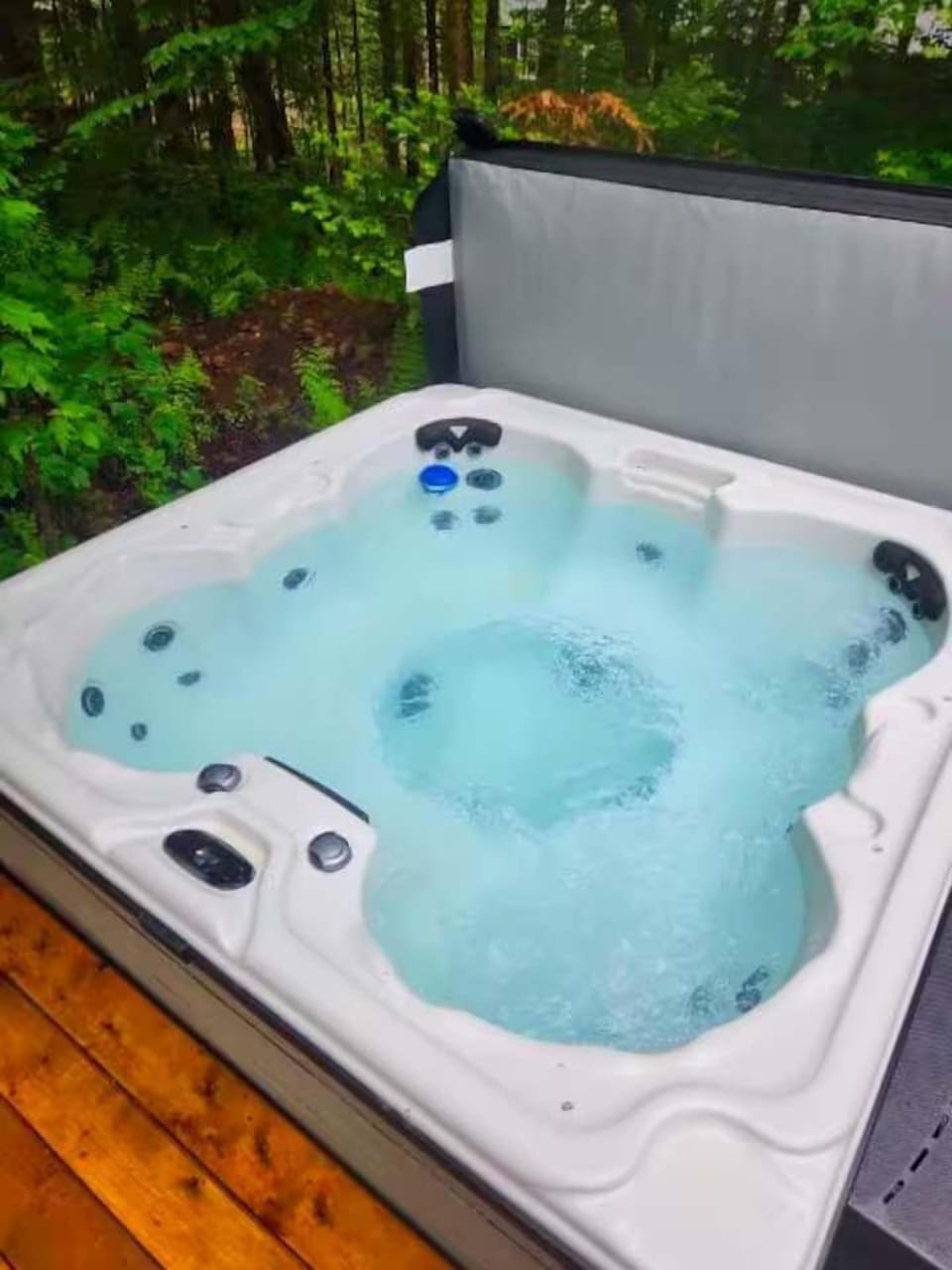 Spa / Hot tub