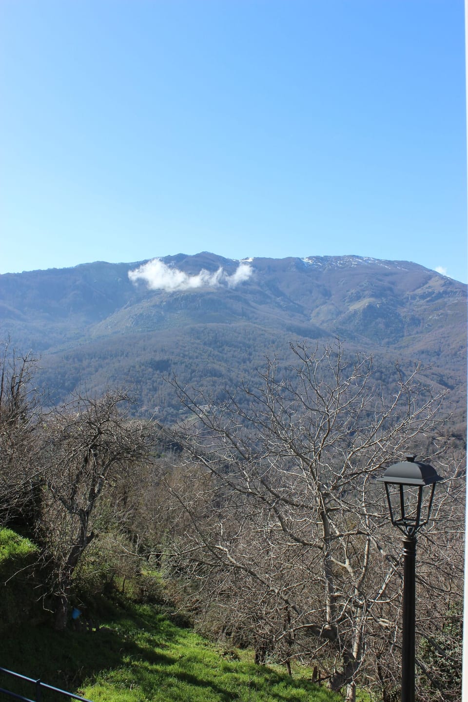 View from property