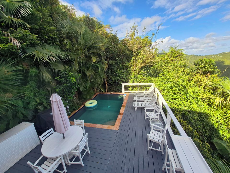 Pool & lounge