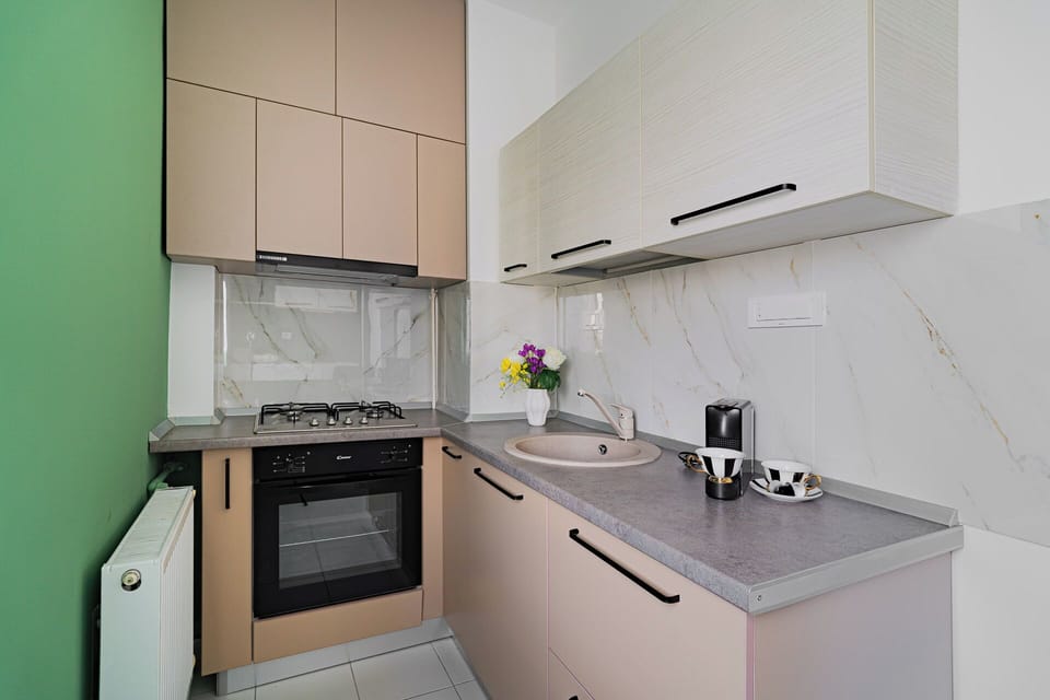 Comfort Studio, 1 King Bed with Sofa bed, Kitchen | Private kitchen | Coffee/tea maker, electric kettle
