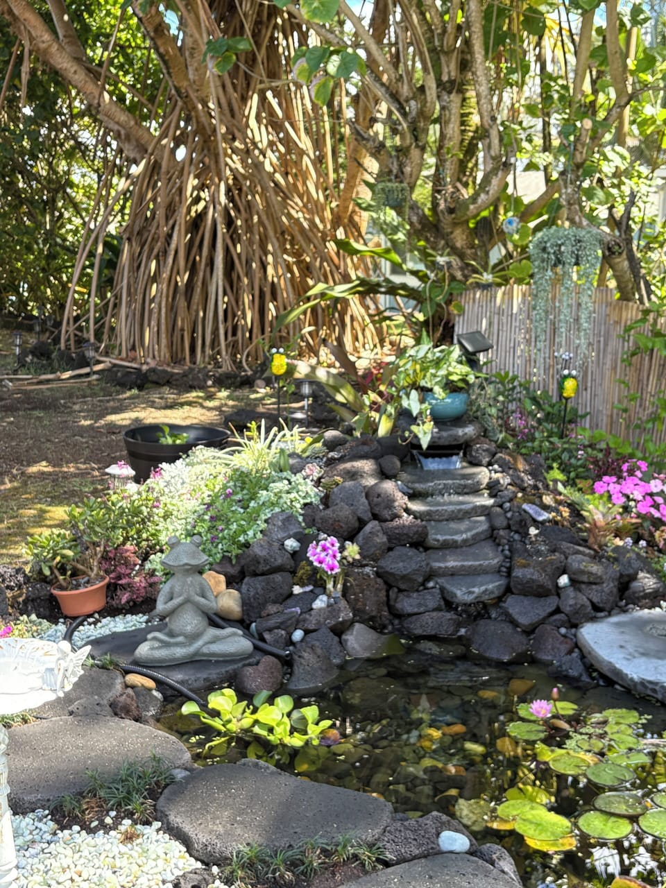pond and waterfall
