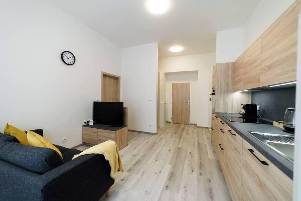 View of the living room and kitchen space