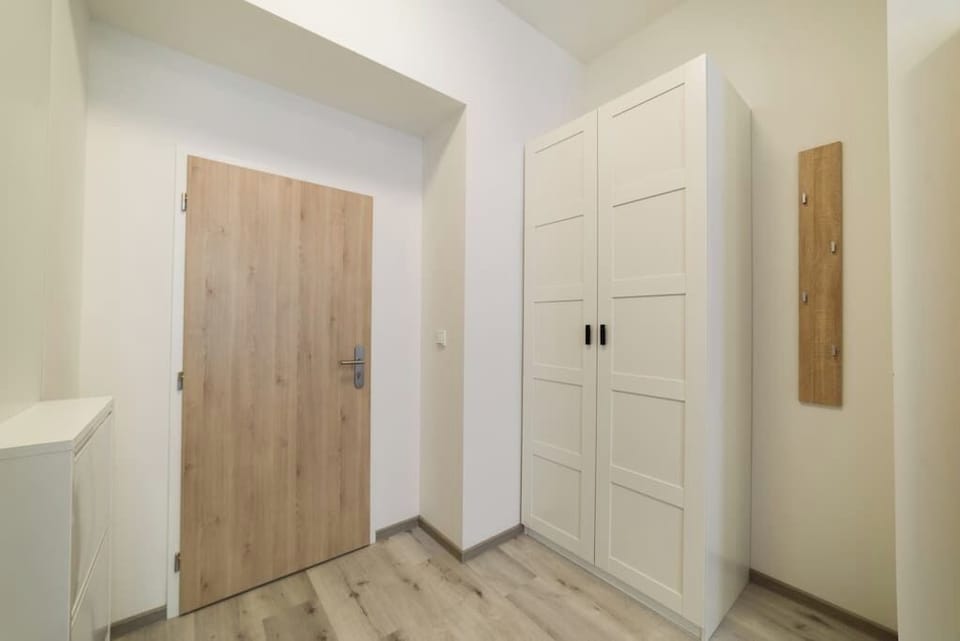 There is plenty of closet space