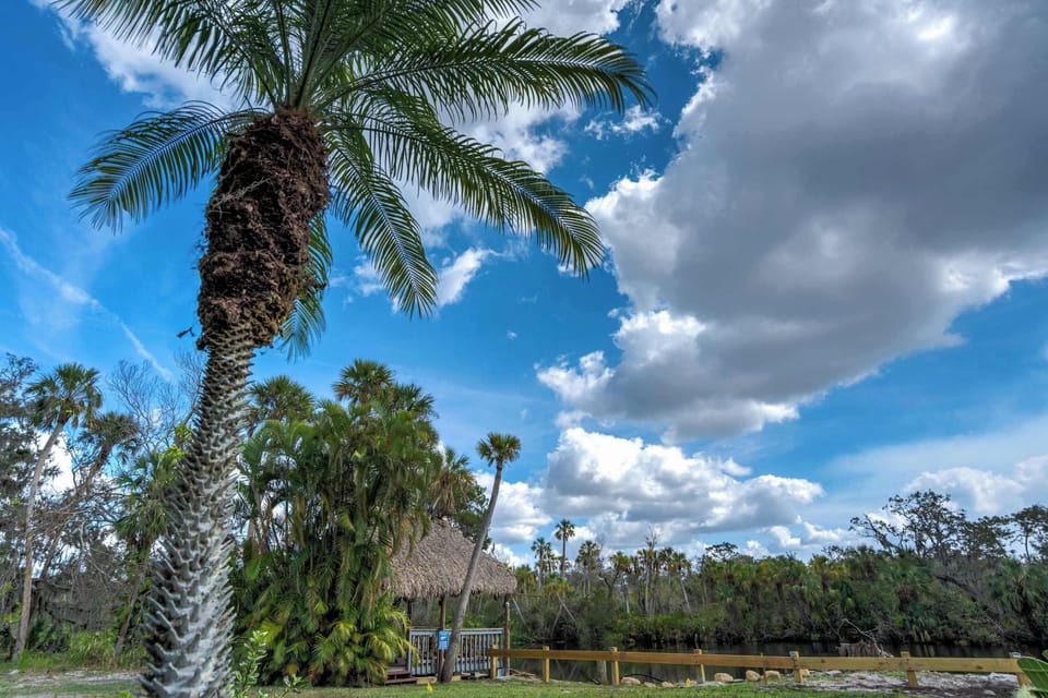 Surround yourself with lush greenery and swaying palm trees, creating a peaceful escape in nature.