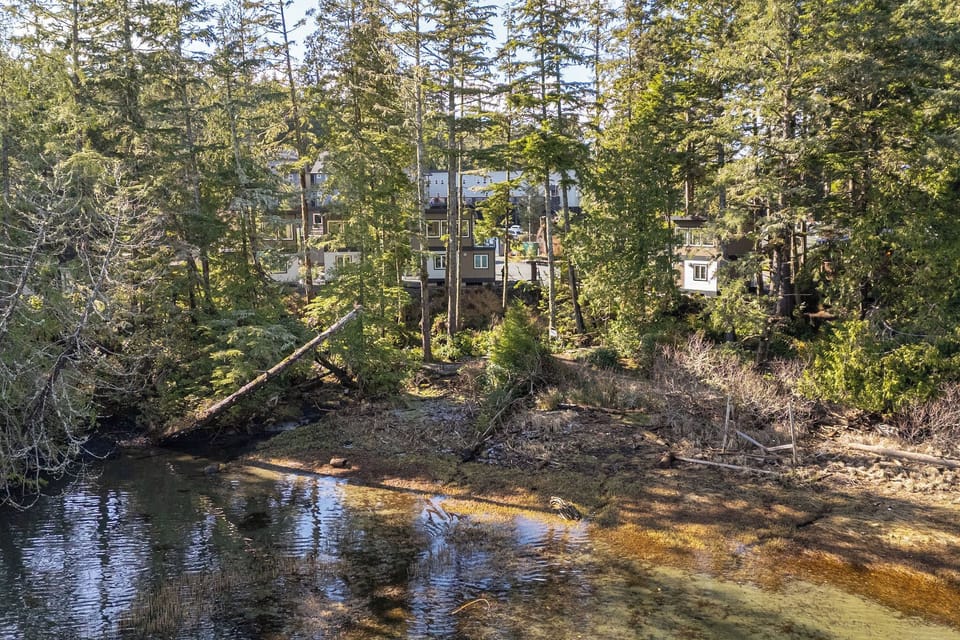 Low tide