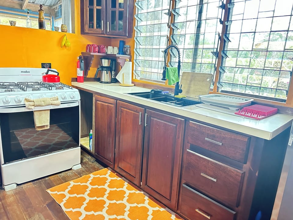 Full-size fridge, microwave, oven, stovetop