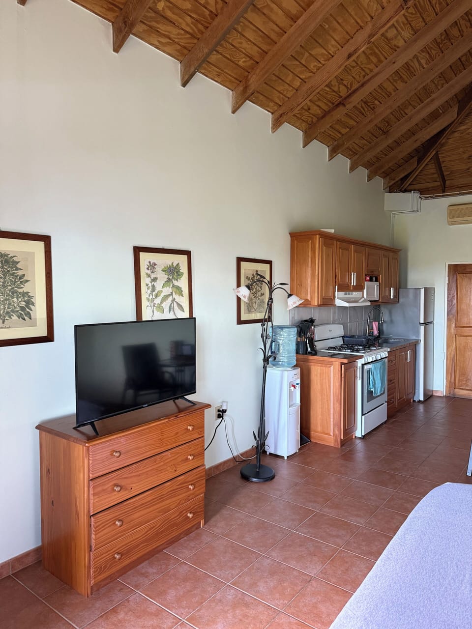 Deluxe Studio, Beach View | Desk, laptop workspace, blackout drapes, iron/ironing board (on request)