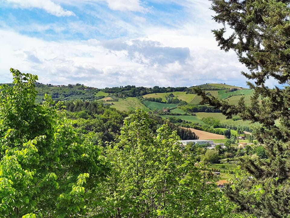 Garden, Scenic View