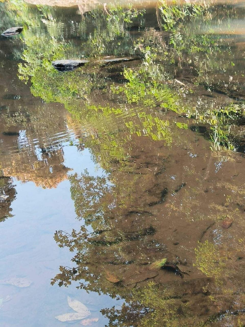 Water view