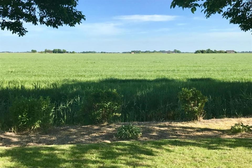 Surroundings [summer] (1-5 km)