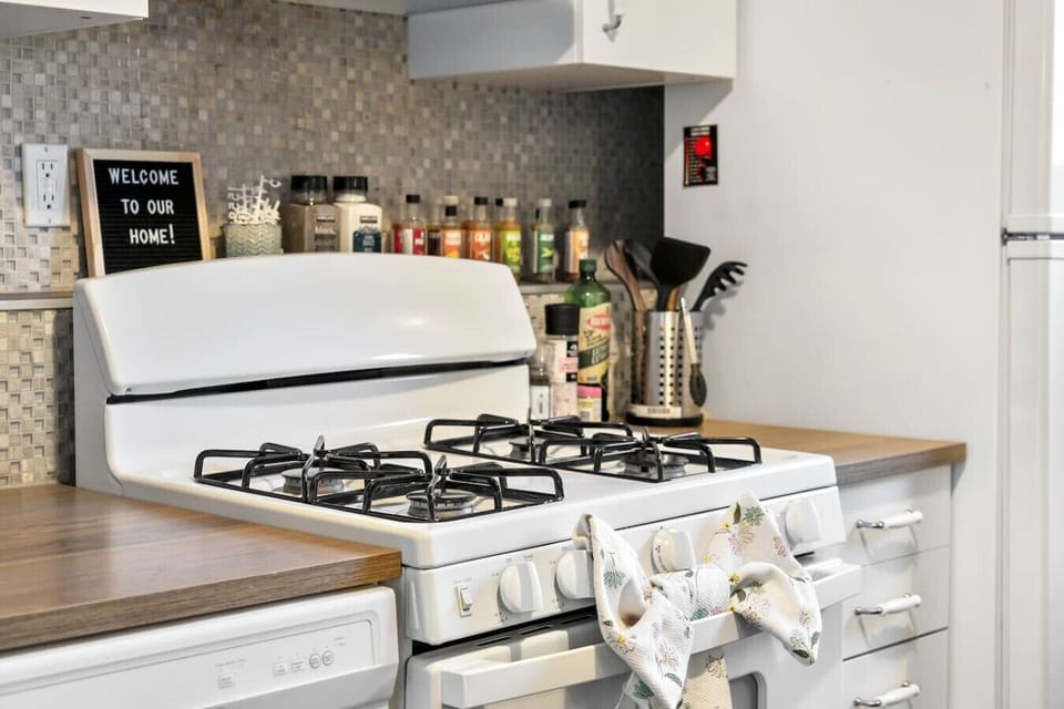 Gas range stove