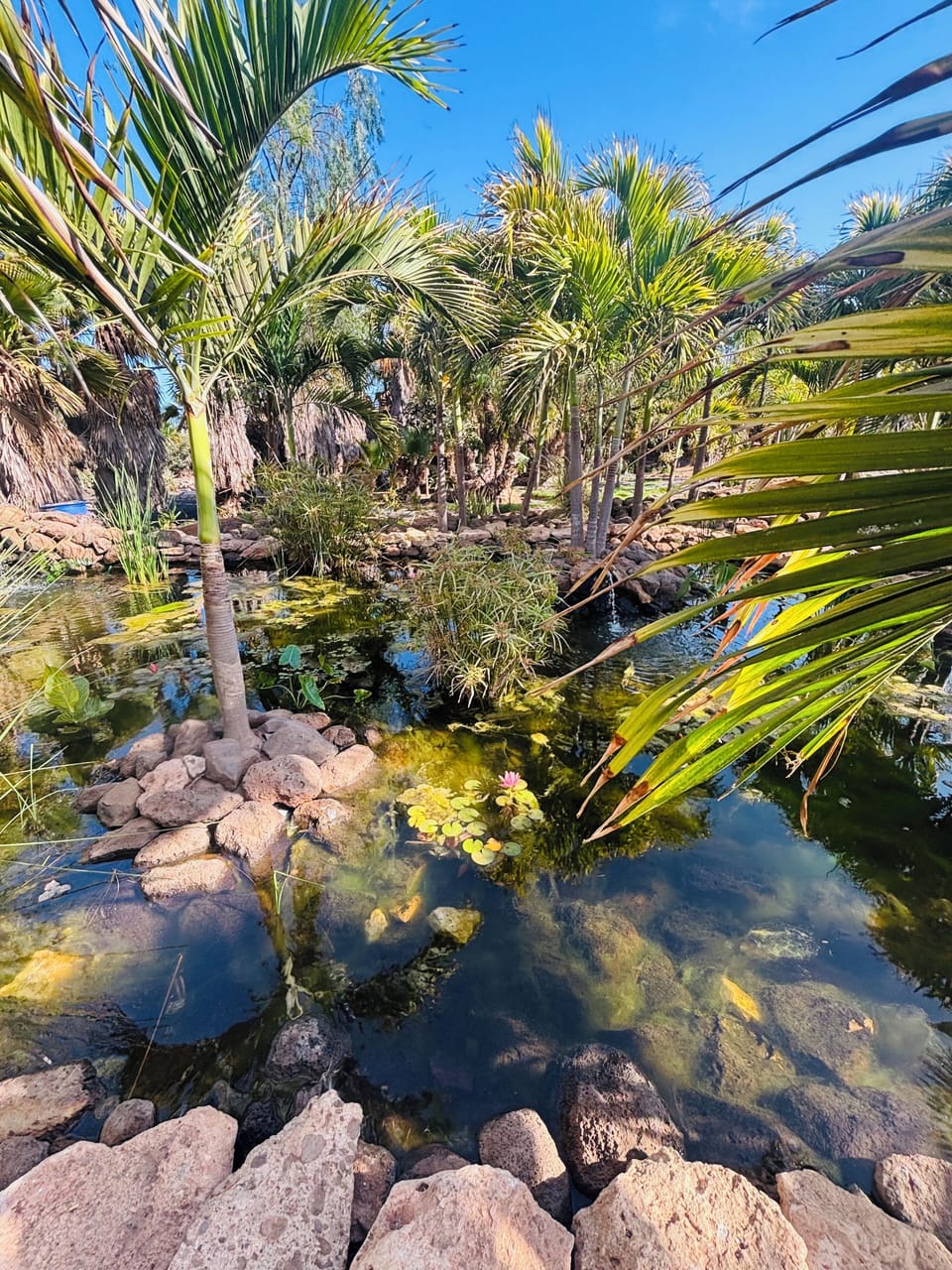 Pachamama Eco park