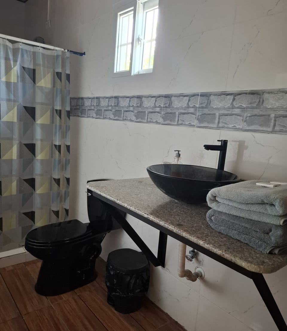 Shower, towels, soap, shampoo