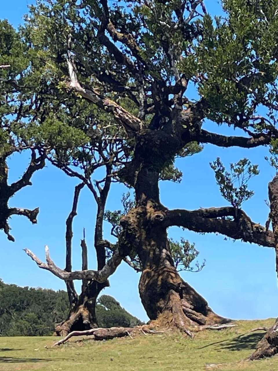 Hiking