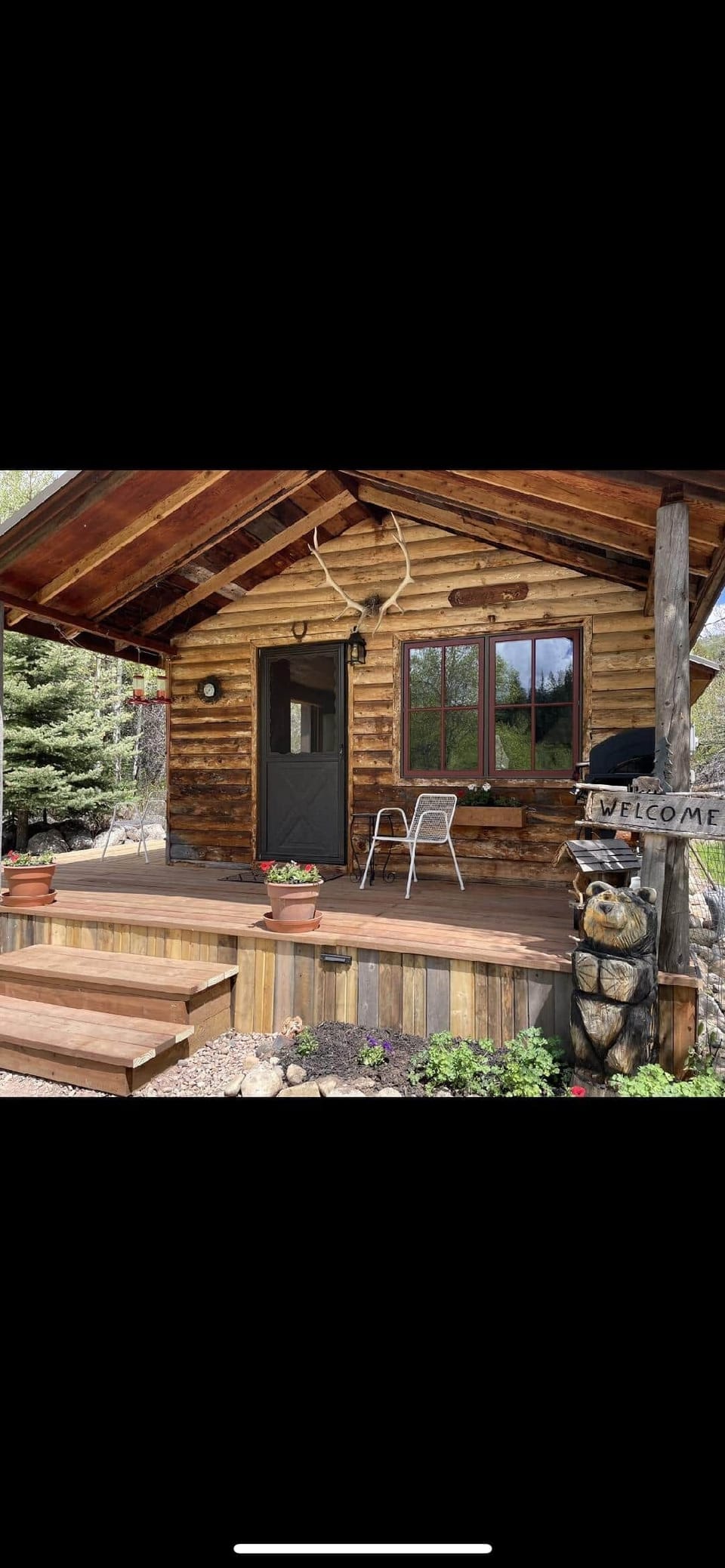 Bear Cabin 