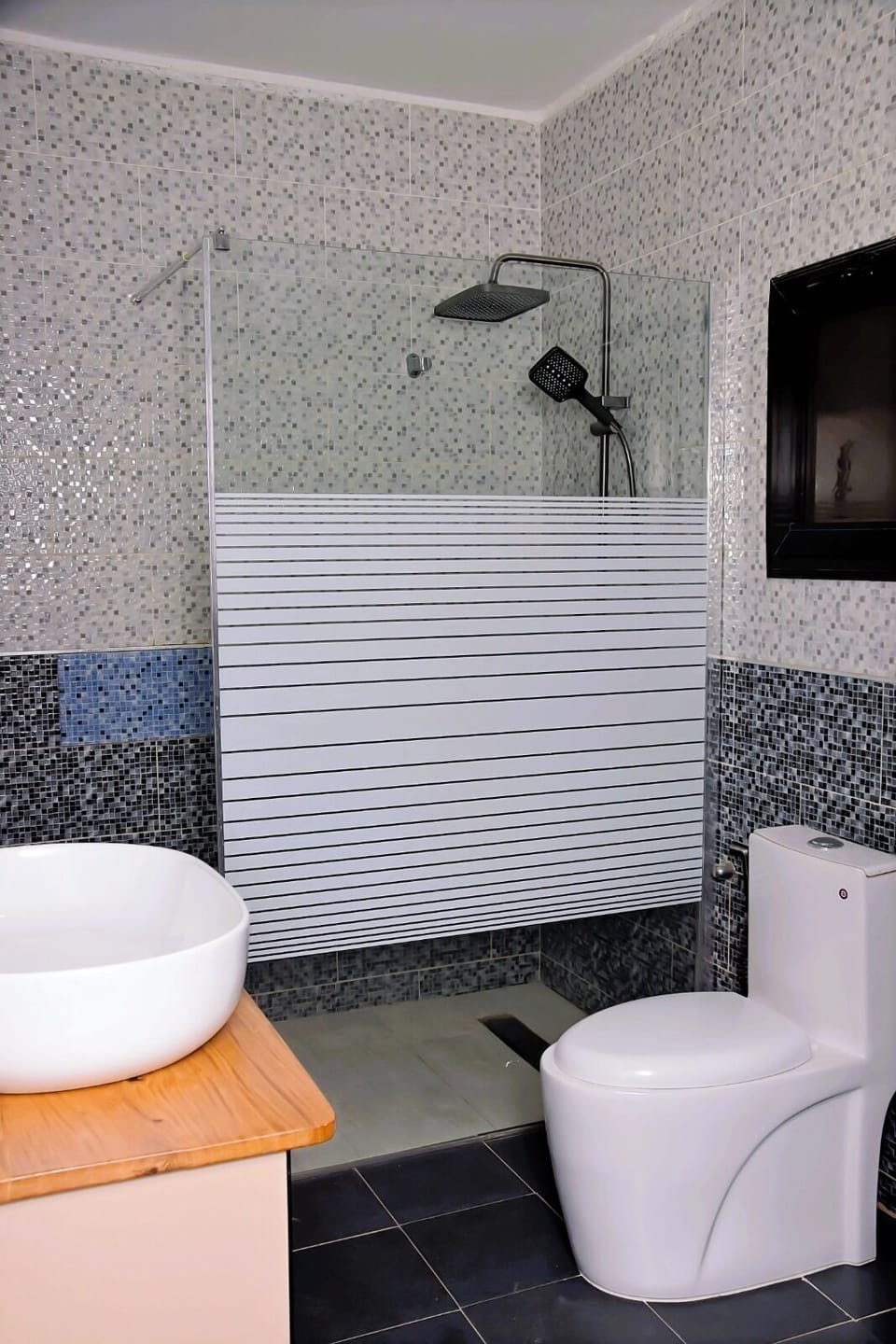 Shower, bidet, towels, toilet paper
