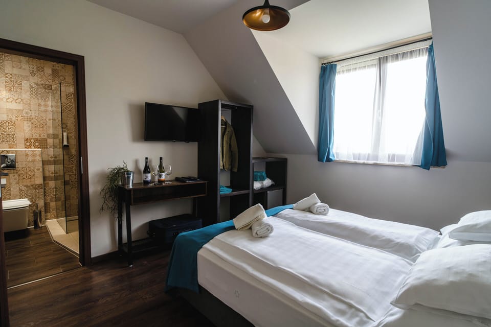 Standard Double Room, Vineyard View | WiFi (free)