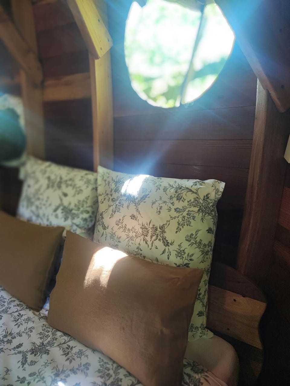 cabane dans les arbres