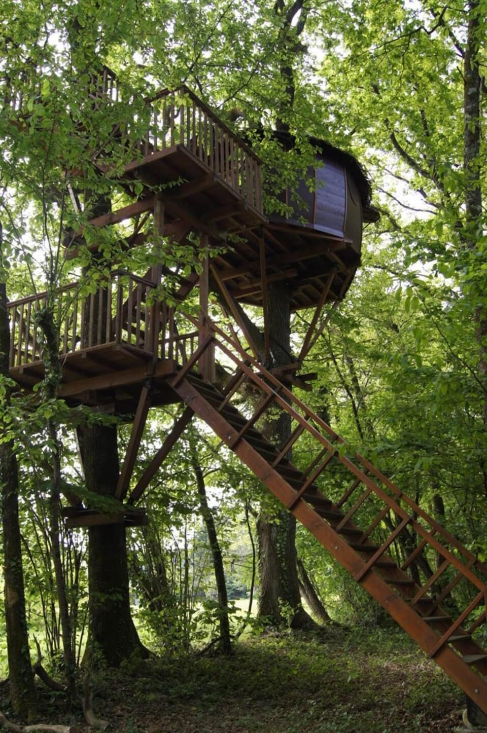 Cabane Maya