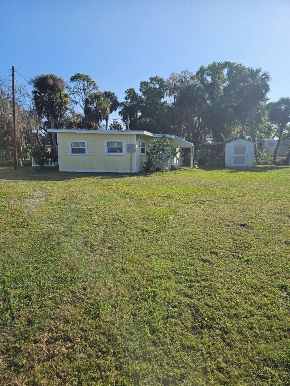 Side Yard